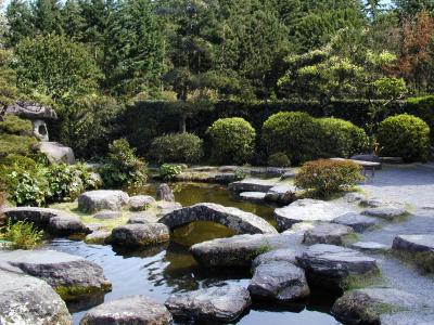 In a Garden of Water and Stone